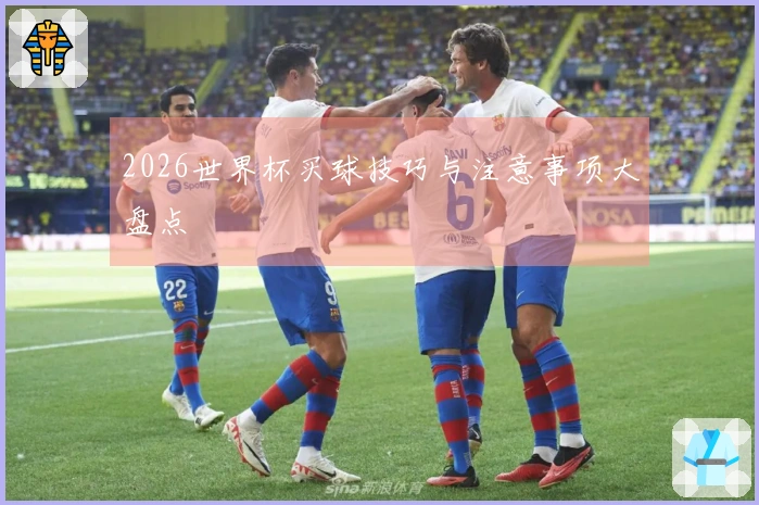 2026世界杯买球技巧与注意事项大盘点