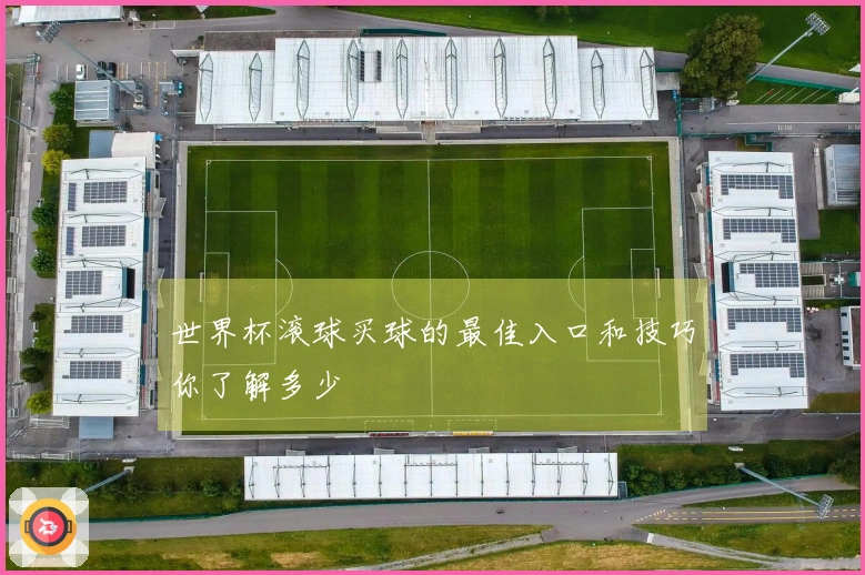 世界杯滚球买球的最佳入口和技巧你了解多少