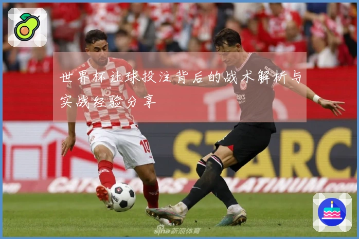 世界杯让球投注背后的战术解析与实战经验分享