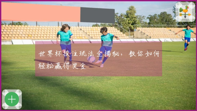 世界杯投注玩法全揭秘，教你如何轻松赢得奖金
